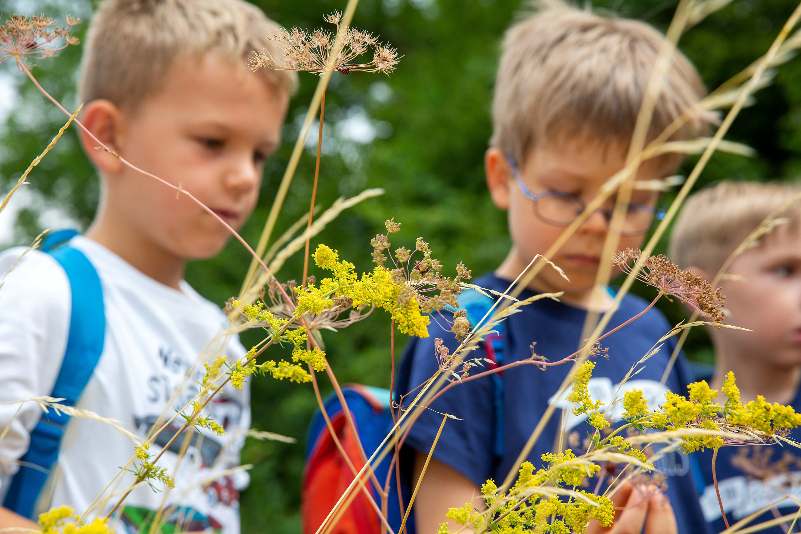 gruene huette sommer 189.jpg