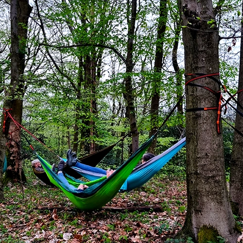 waldexpedition waldfuehrung vollmond krimi 2