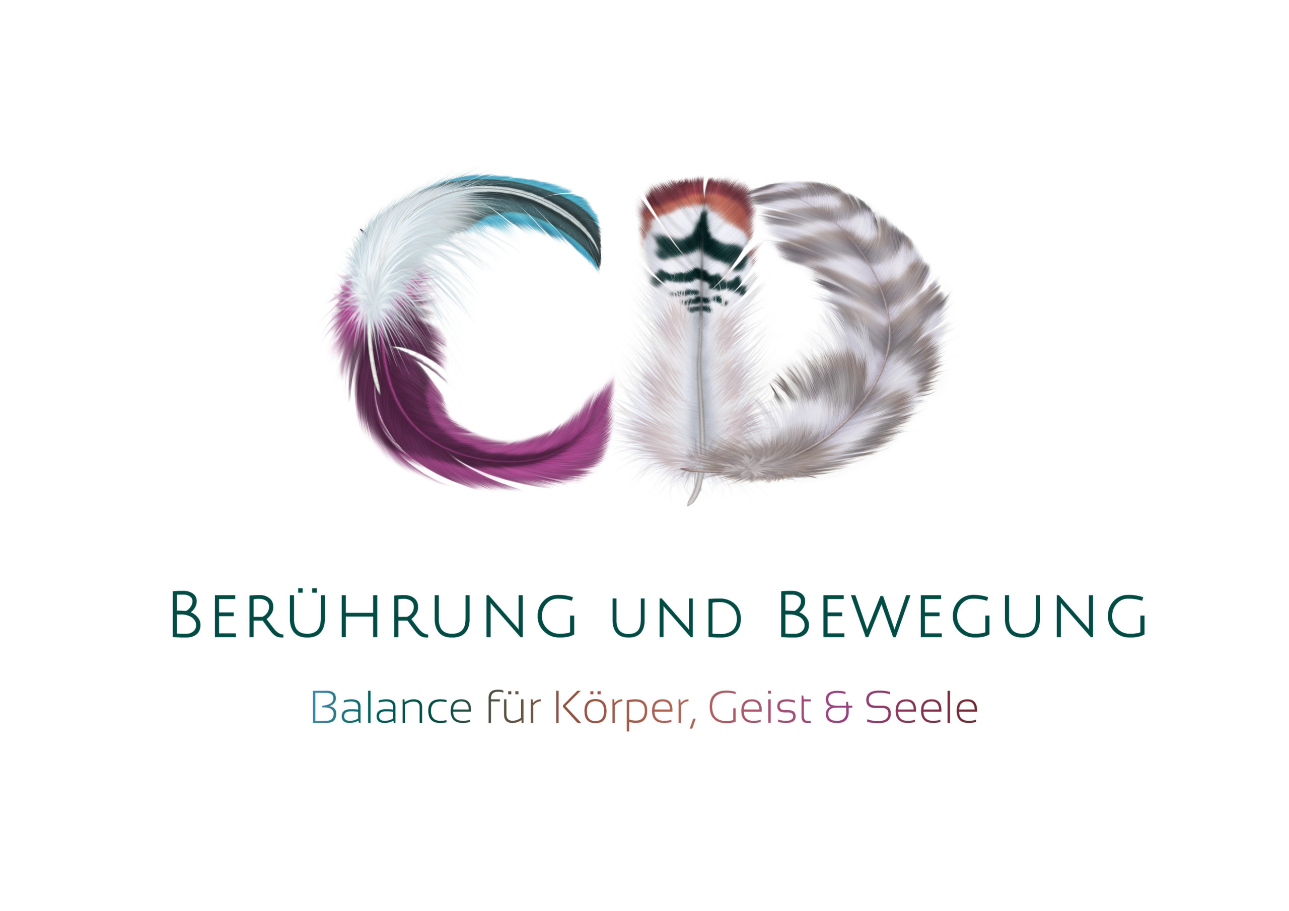 visi logoseite weiss 1.jpg