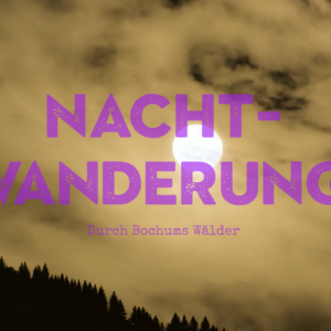 screenshot 2025 10 04 at 14 53 24 nachtwanderung durch den wald in bochum fuer gross und klein.png