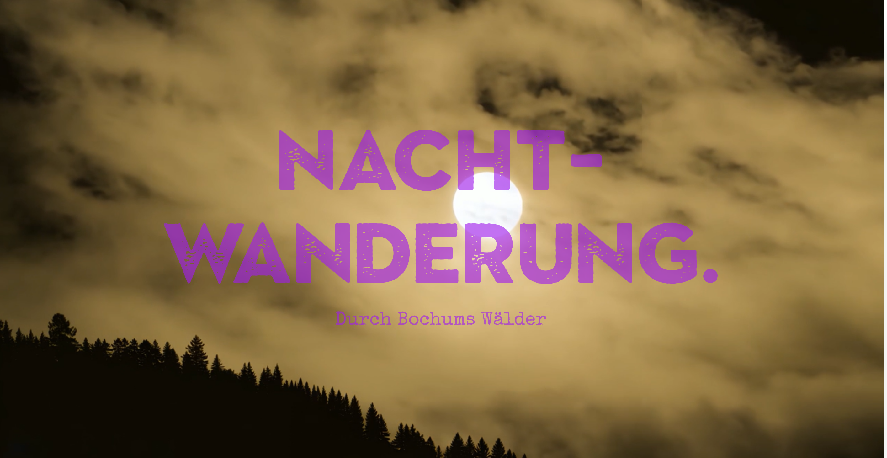screenshot 2025 10 04 at 14 53 24 nachtwanderung durch den wald in bochum fuer gross und klein.png